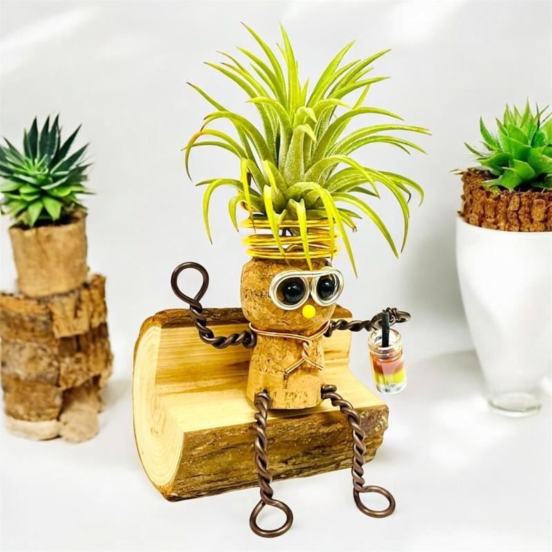 微甜多肉小陽台.空氣鳳梨的家 / 享受吧！一個人的生活. 軟木塞空鳳木架（不含植物）-細節圖3