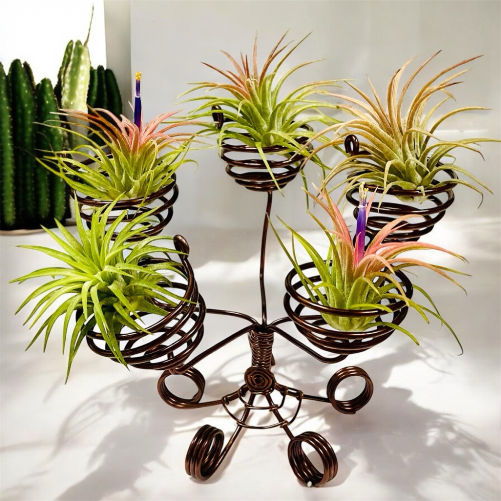 微甜多肉小陽台．空氣鳳梨的家｜鋁線手作．空氣鳳梨小燭台（不含植物）-細節圖2