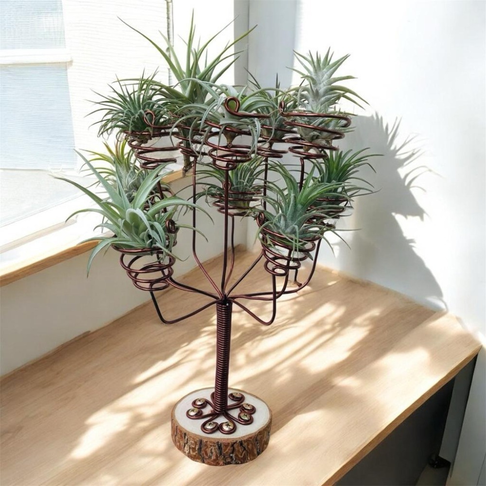 微甜多肉小陽台．空氣鳳梨的家｜鋁線手作．空氣鳳梨小燭台可放十顆空鳳，有底座（不含植物）-細節圖2