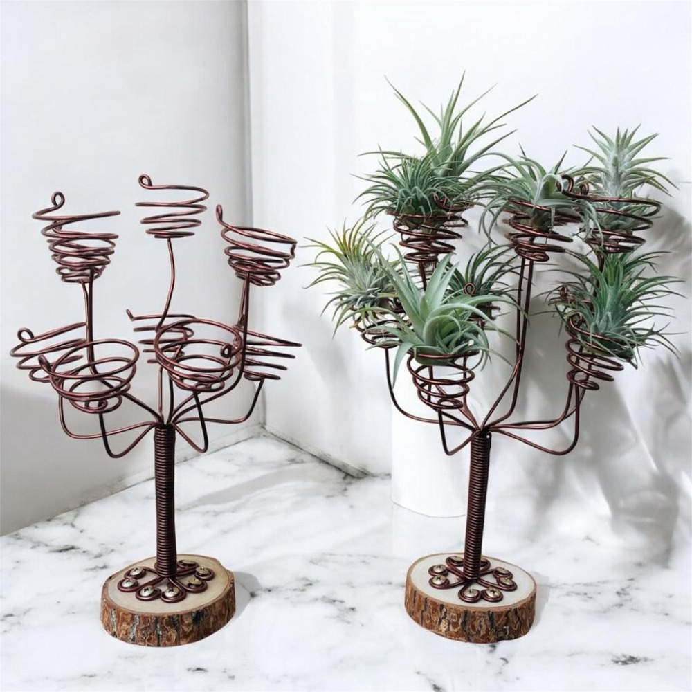 微甜多肉小陽台．空氣鳳梨的家｜鋁線手作．空氣鳳梨小燭台可放十顆空鳳，有底座（不含植物）-細節圖3