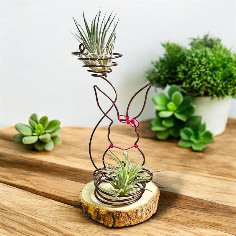 微甜多肉小陽台．空氣鳳梨的家｜鋁線手作．小兔子的祝福（不含植物）-細節圖5