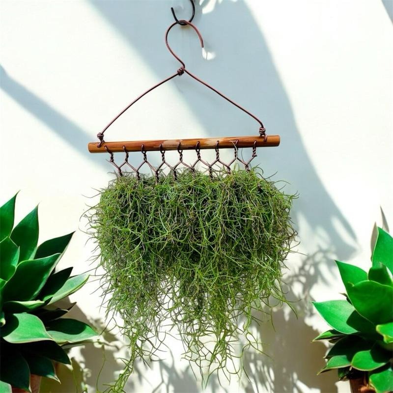 Yasha 微甜多肉小陽台·空氣鳳梨的家 / 松蘿衣架木作掛架（適合量多，不含植物）-細節圖5