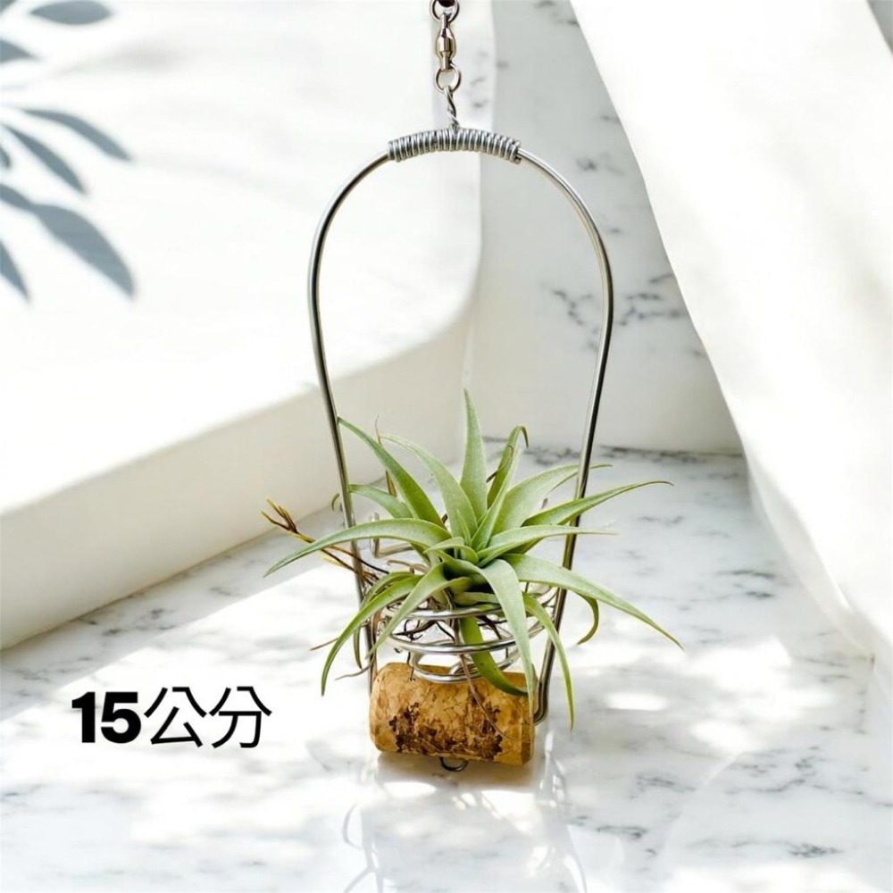 微甜多肉小陽台．空氣鳳梨的家｜鋁線手作．可旋轉的軟木塞空鳳架～下方可加掛（出貨不含空氣鳳梨）-細節圖2