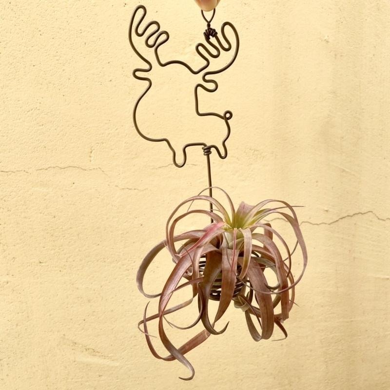 微甜多肉小陽台．空氣鳳梨的家｜鋁線手作．馴鹿空鳳掛架，鈴鐺項鍊顏色隨機(不含空鳳)-細節圖4