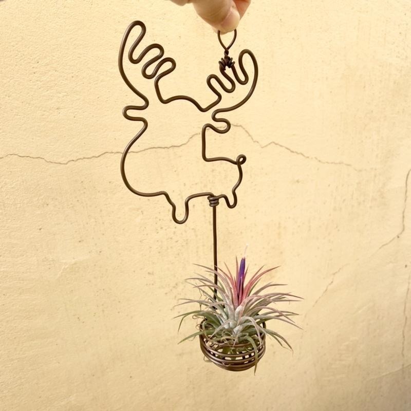 微甜多肉小陽台．空氣鳳梨的家｜鋁線手作．馴鹿空鳳掛架，鈴鐺項鍊顏色隨機(不含空鳳)-細節圖5
