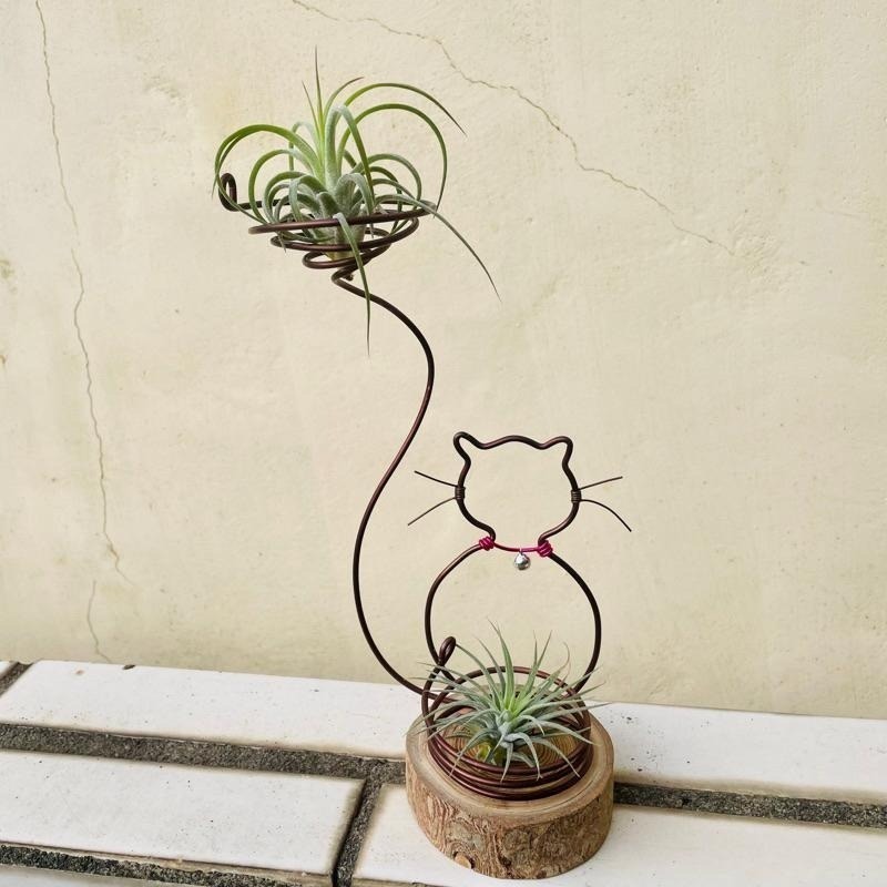 微甜多肉小陽台．空氣鳳梨的家｜鋁線手作．小貓咪的祝福（不含植物）-細節圖9