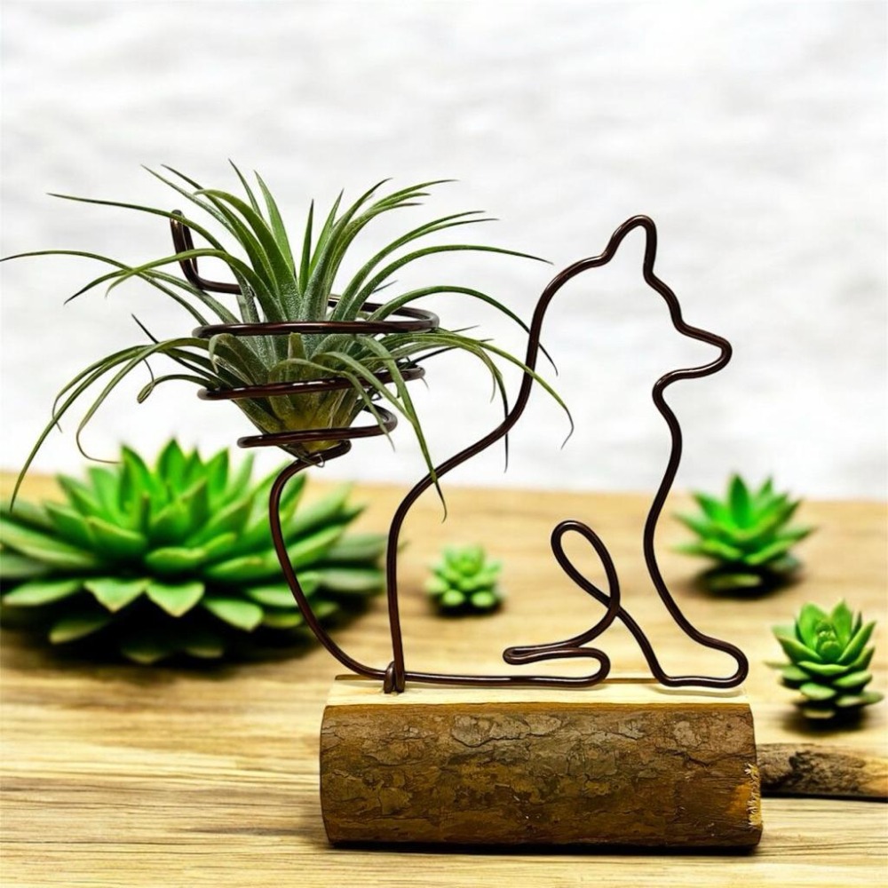 Yasha 微甜多肉小陽台.空氣鳳梨的家 / 森林小動物（不含植物）-細節圖2