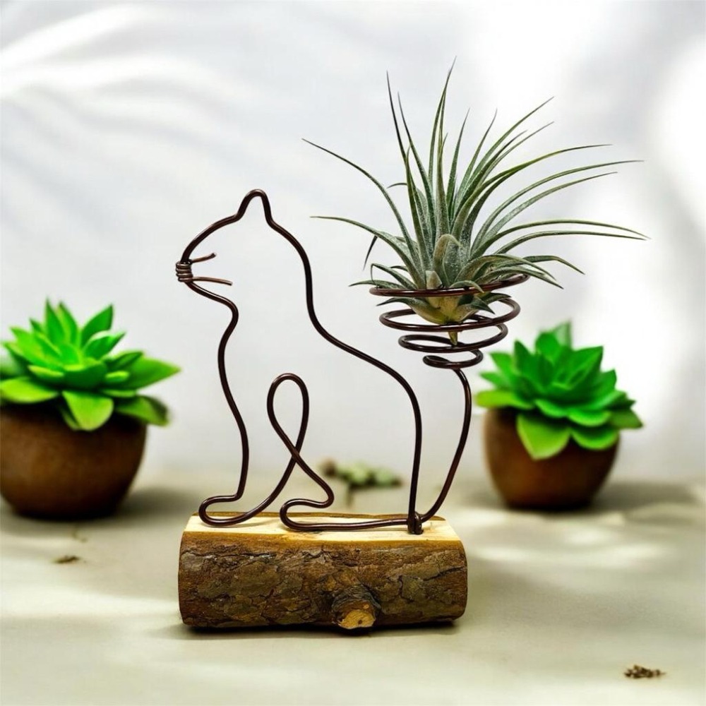 Yasha 微甜多肉小陽台.空氣鳳梨的家 / 森林小動物（不含植物）-細節圖4