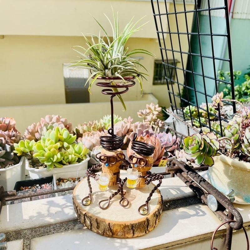微甜多肉小陽台．空氣鳳梨的家｜鋁線手作．把酒言歡軟木塞空鳳架（不含植物）-細節圖4