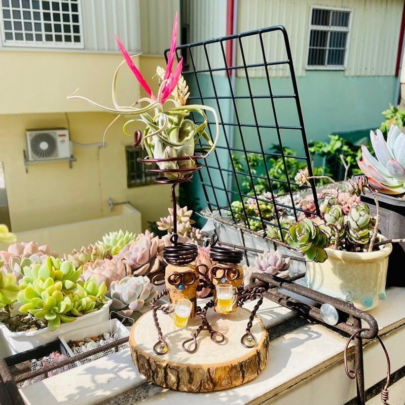 微甜多肉小陽台．空氣鳳梨的家｜鋁線手作．把酒言歡軟木塞空鳳架（不含植物）-細節圖5