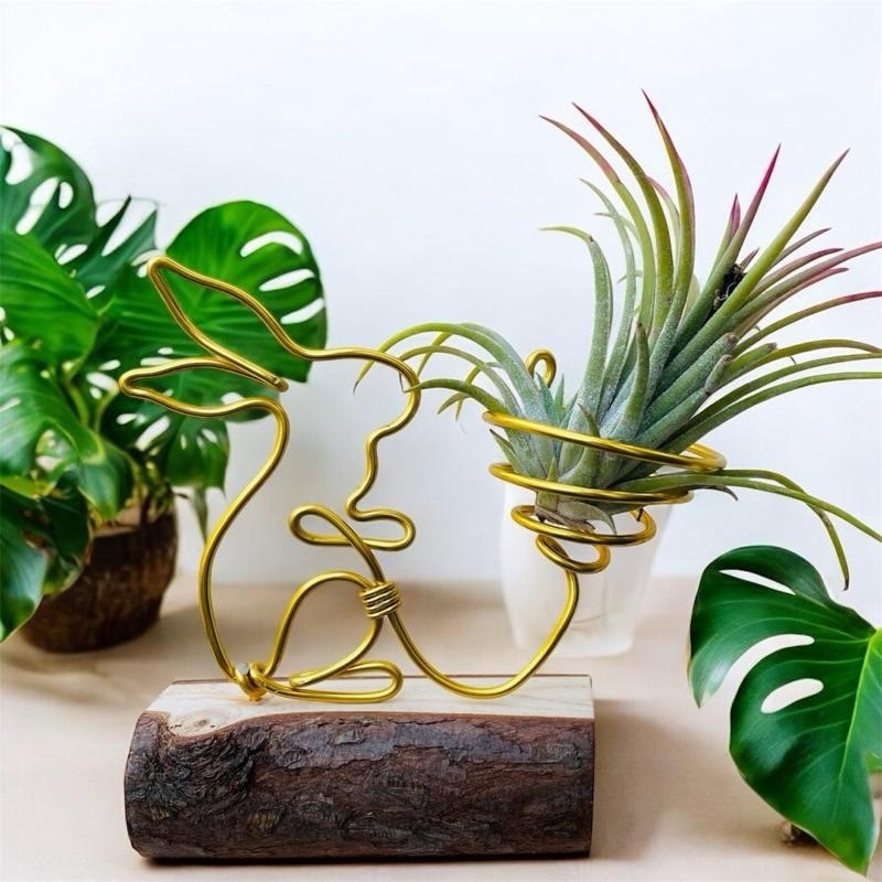 微甜多肉小陽台·空氣鳳梨的家｜幸福兔兔（不含植物）-細節圖3