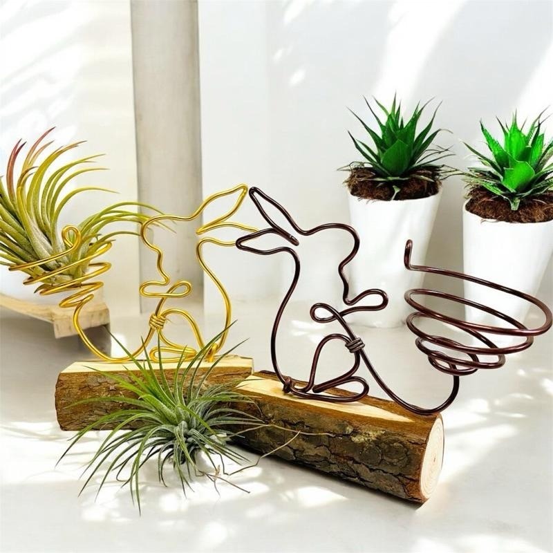 微甜多肉小陽台·空氣鳳梨的家｜幸福兔兔（不含植物）-細節圖7