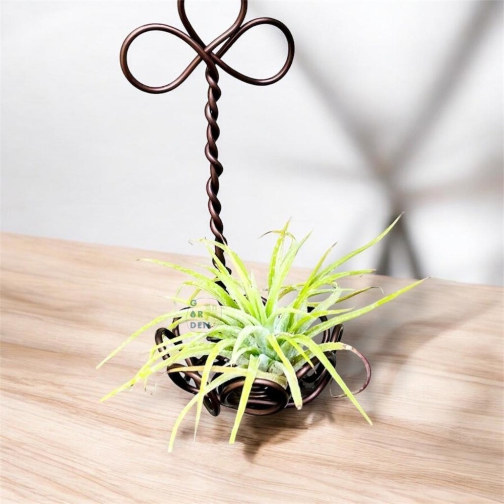 微甜多肉小陽台．空氣鳳梨的家｜鋁線手作．花朵籃（不含植物）-細節圖5