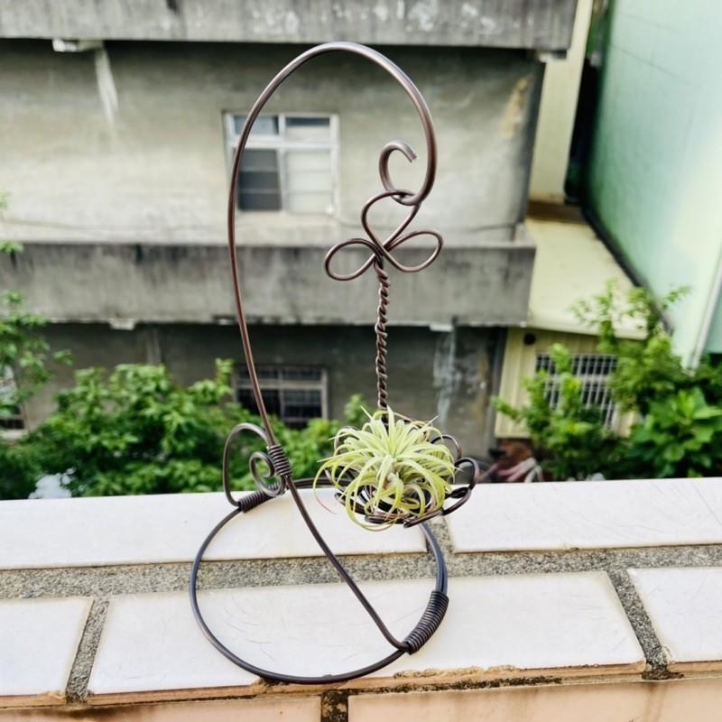 微甜多肉小陽台．空氣鳳梨的家｜鋁線手作．花朵籃（不含植物）-細節圖7