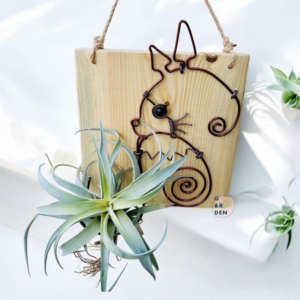 微甜多肉小陽台．空氣鳳梨的家｜鋁線手作．龍貓空鳳.多肉壁架板（不含植物）-細節圖2