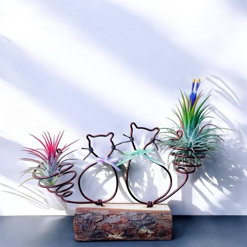 微甜多肉小陽台．空氣鳳梨的家｜鋁線手作．雙貓空鳳架(可備註蝴蝶結顏色，不含空鳳）-細節圖2