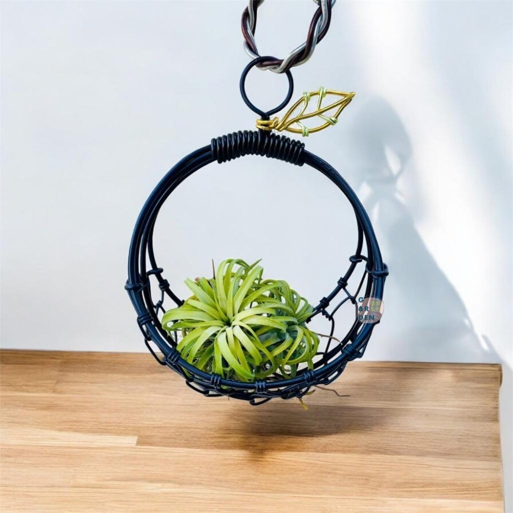 微甜多肉小陽台．空氣鳳梨的家｜鋁線手作．鋁線編織籃（不含植物）-細節圖2