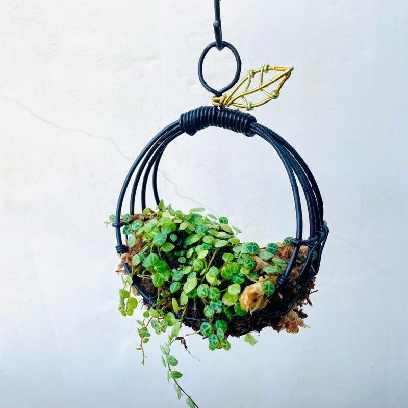 微甜多肉小陽台．空氣鳳梨的家｜鋁線手作．鋁線編織籃（不含植物）-細節圖4