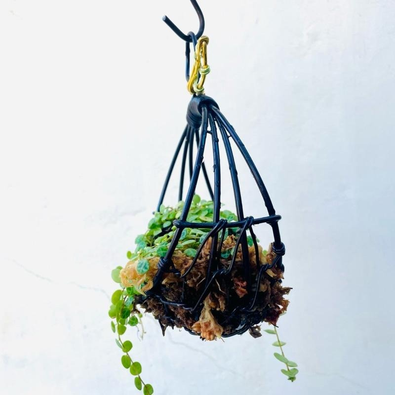 微甜多肉小陽台．空氣鳳梨的家｜鋁線手作．鋁線編織籃（不含植物）-細節圖5