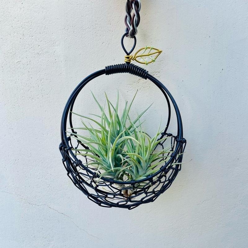 微甜多肉小陽台．空氣鳳梨的家｜鋁線手作．鋁線編織籃（不含植物）-細節圖8