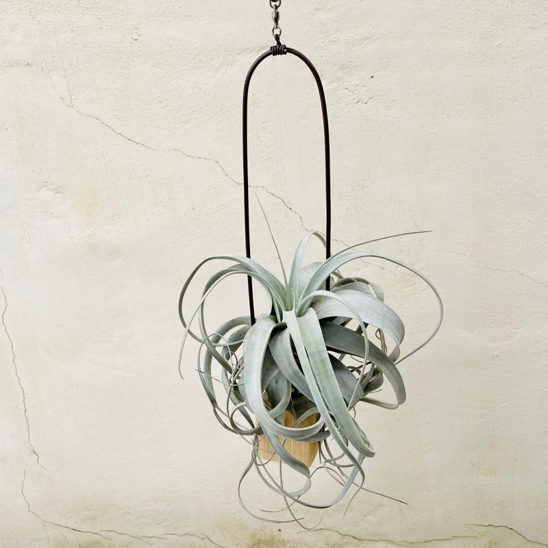 微甜多肉小陽台．空氣鳳梨的家｜鋁線手作．積木空氣旋轉掛架（不含植物）-細節圖5