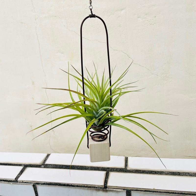 微甜多肉小陽台．空氣鳳梨的家｜鋁線手作．積木空氣旋轉掛架（不含植物）-細節圖7