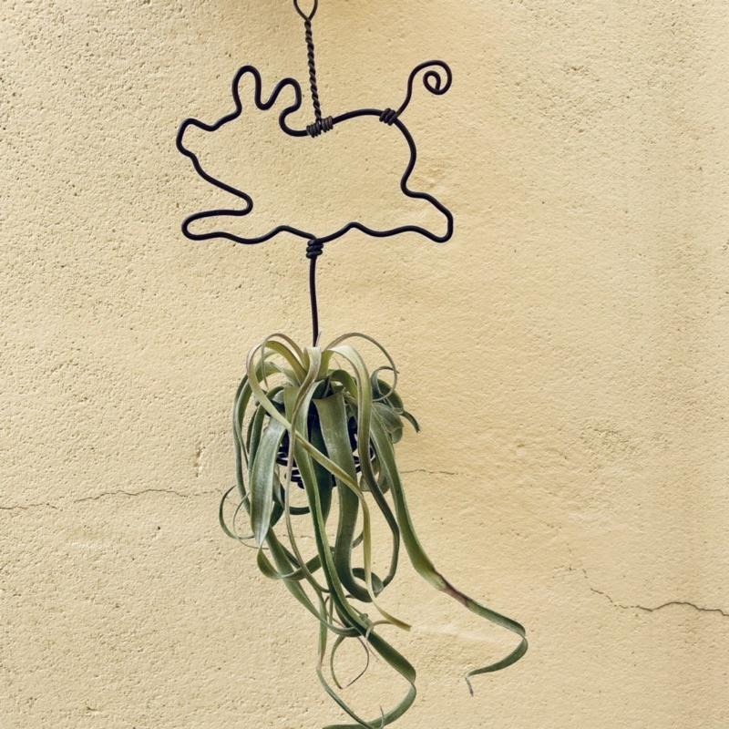 微甜多肉小陽台．空鳳的家 / 小豬空鳳掛架(不含空鳳)-細節圖2