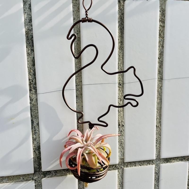 微甜多肉小陽台．空氣鳳梨的家｜鋁線手作．松鼠空鳳掛架（不含植物）-細節圖2
