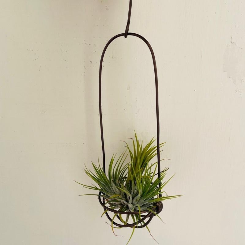 微甜多肉小陽台．空氣鳳梨的家｜鋁線手作．加強型鋁線提籃(小)，附S型掛勾（不含植物）-細節圖4