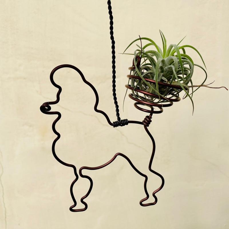 【微甜多肉小陽台】空氣鳳梨的家 / 貴賓狗空鳳掛架(不含空鳳)-細節圖3