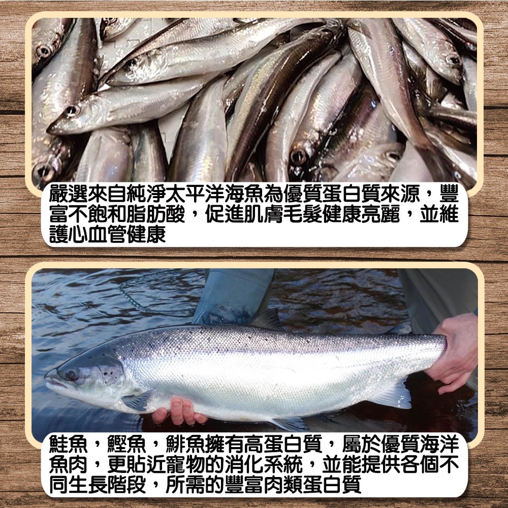 BEST 倍思特 無穀天然貓糧 多種魚盛宴 低敏護膚配方 全齡貓 高含肉量 貓乾糧 貓飼料【寵物主義】-細節圖4