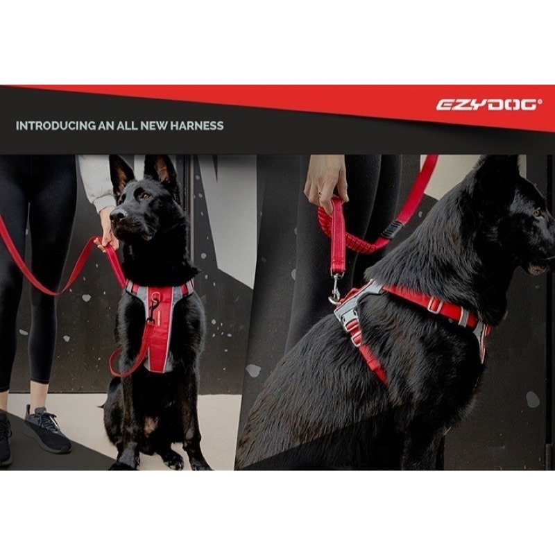澳洲 EZYDOG X減壓胸背帶 寵物胸背帶 胸背帶 貓狗適用 狗胸背 貓胸背 寵物外出【寵物主義】-細節圖3