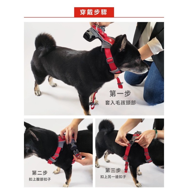 澳洲 EZYDOG X減壓胸背帶 寵物胸背帶 胸背帶 貓狗適用 狗胸背 貓胸背 寵物外出【寵物主義】-細節圖6