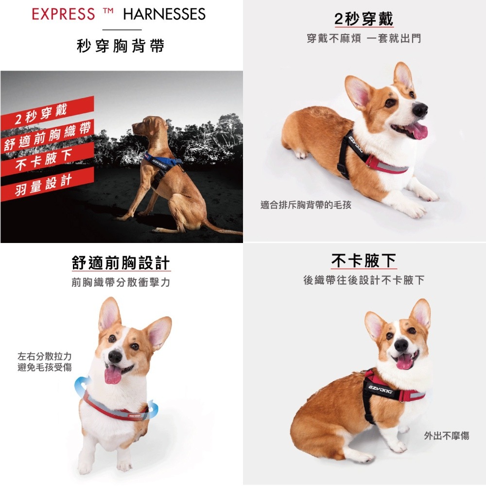 澳洲 EZYDOG 秒穿胸背帶 寵物胸背帶 胸背帶 反光設計 全尺寸 狗胸背 寵物外出【寵物主義】-細節圖2