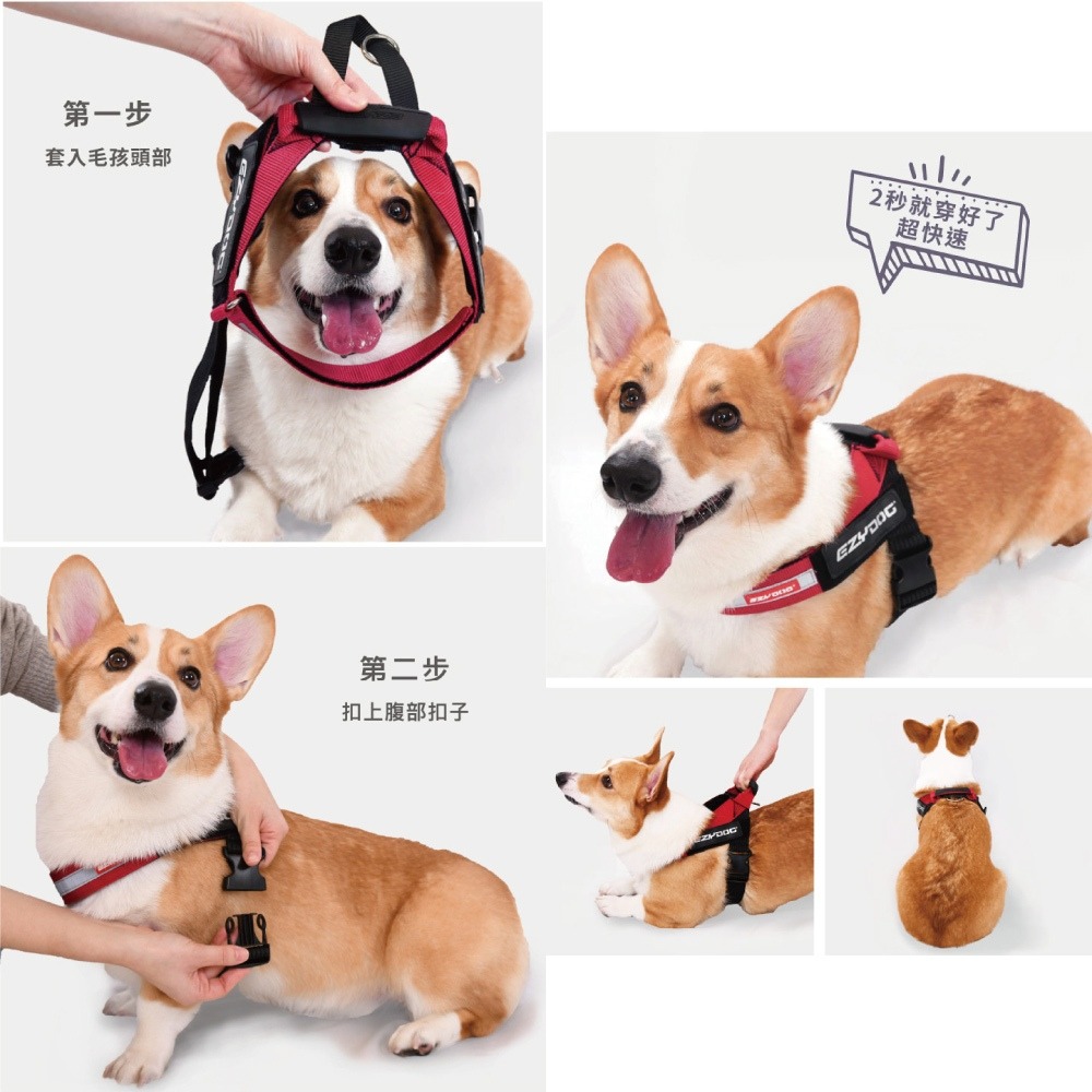澳洲 EZYDOG 秒穿胸背帶 寵物胸背帶 胸背帶 反光設計 全尺寸 狗胸背 寵物外出【寵物主義】-細節圖4