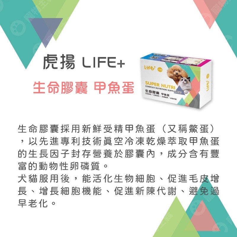 虎揚科技 Life+ Q10 蝦紅素 甲魚蛋 關節膠囊 PURE-EPA魚油 護心 抗氧 爆毛 貓狗適用 【寵物主義】-細節圖2