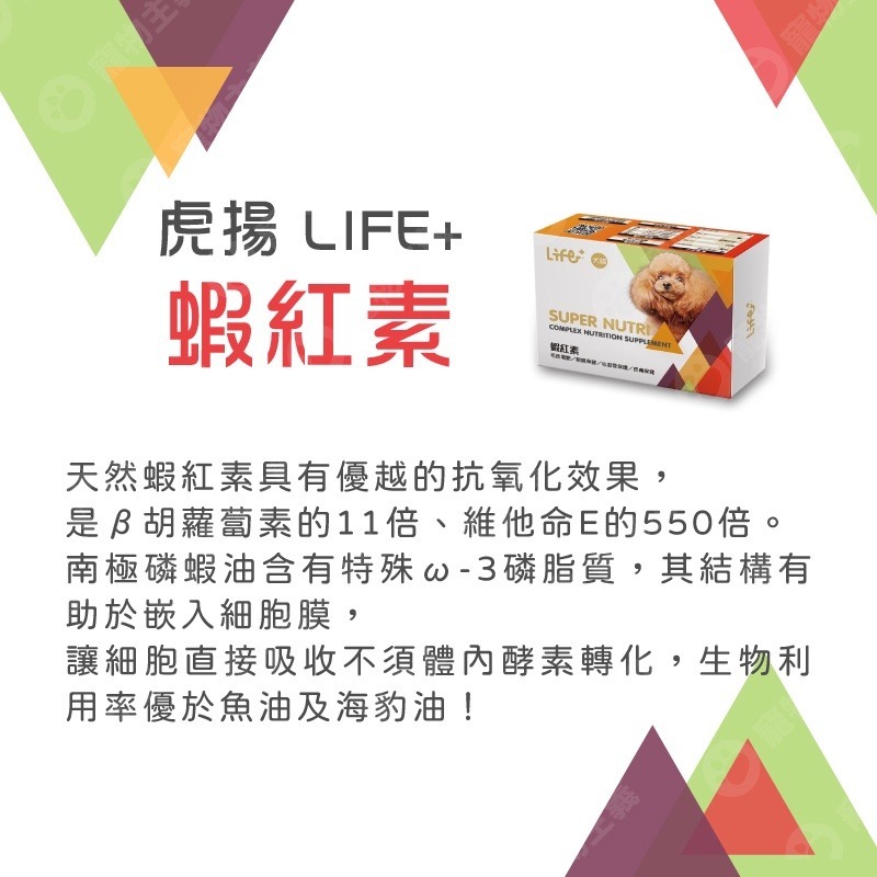 虎揚科技 Life+ Q10 蝦紅素 甲魚蛋 關節膠囊 PURE-EPA魚油 護心 抗氧 爆毛 貓狗適用 【寵物主義】-細節圖6