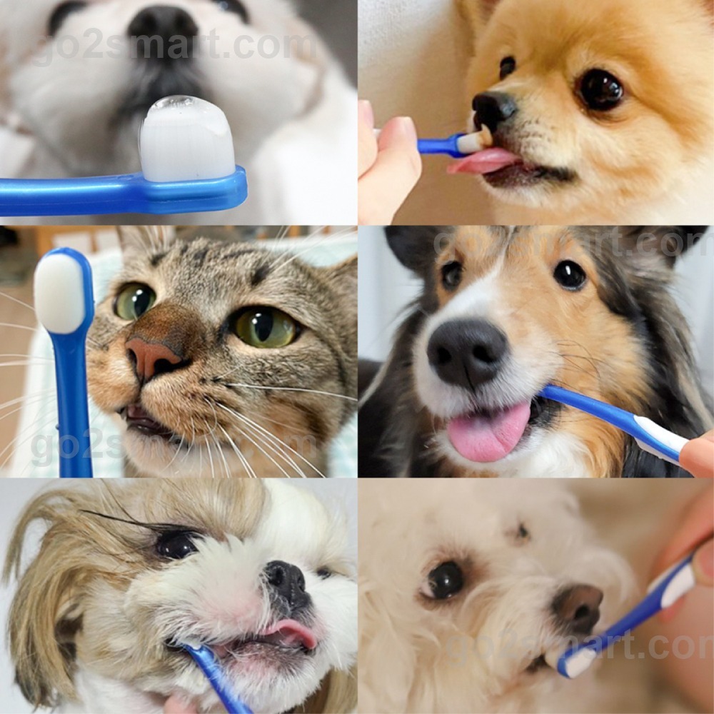 Jungle Monster 韓國叢林怪獸 極細密軟毛 寵物牙刷 犬用酵素牙膏 70g 潔牙凝膠 口腔護理【寵物主義】-細節圖4