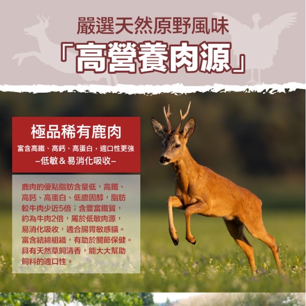 ParkCat貓樂園 無敵貓糧｜動力火雞鹿 無穀 全齡貓 貓糧-細節圖5