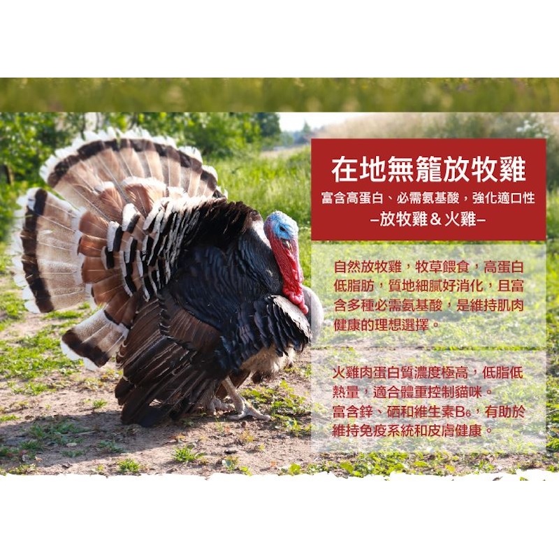 ParkCat貓樂園 無敵貓糧｜動力火雞鹿 無穀 全齡貓 貓糧-細節圖6