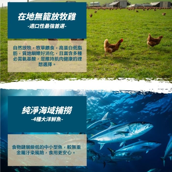 ParkCat貓樂園 無敵貓糧｜大洋鮮極魚 無穀 全齡貓 貓糧-細節圖4