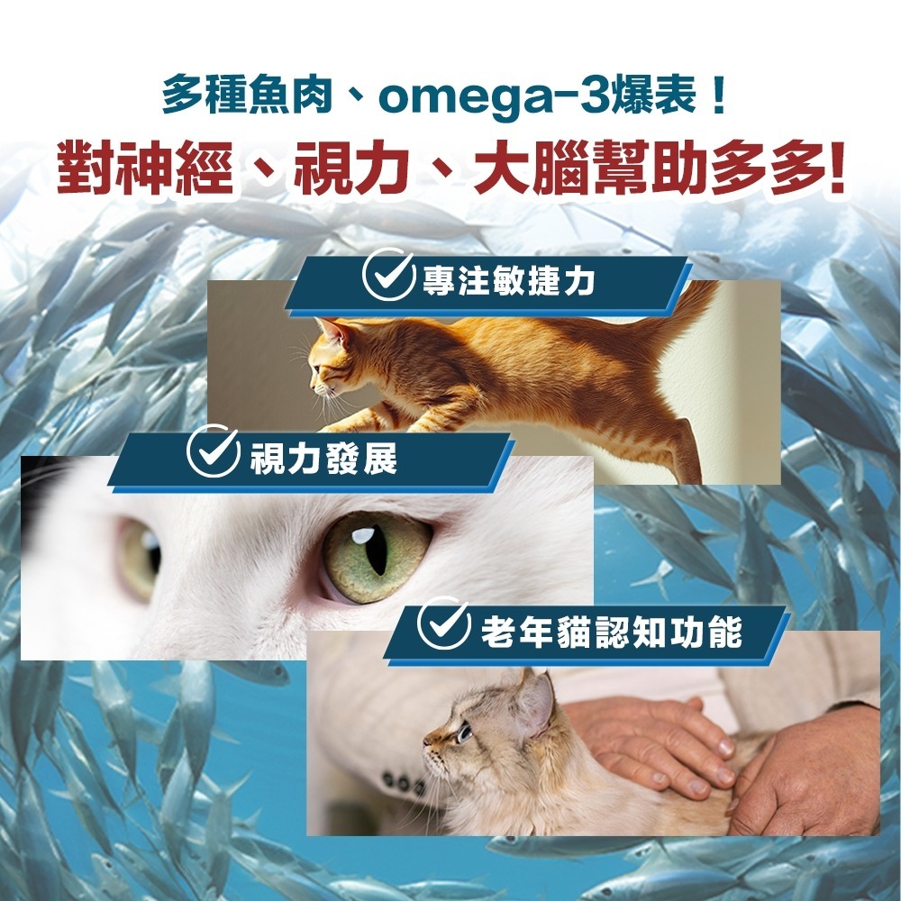 ParkCat貓樂園 無敵貓糧｜大洋鮮極魚 無穀 全齡貓 貓糧-細節圖5