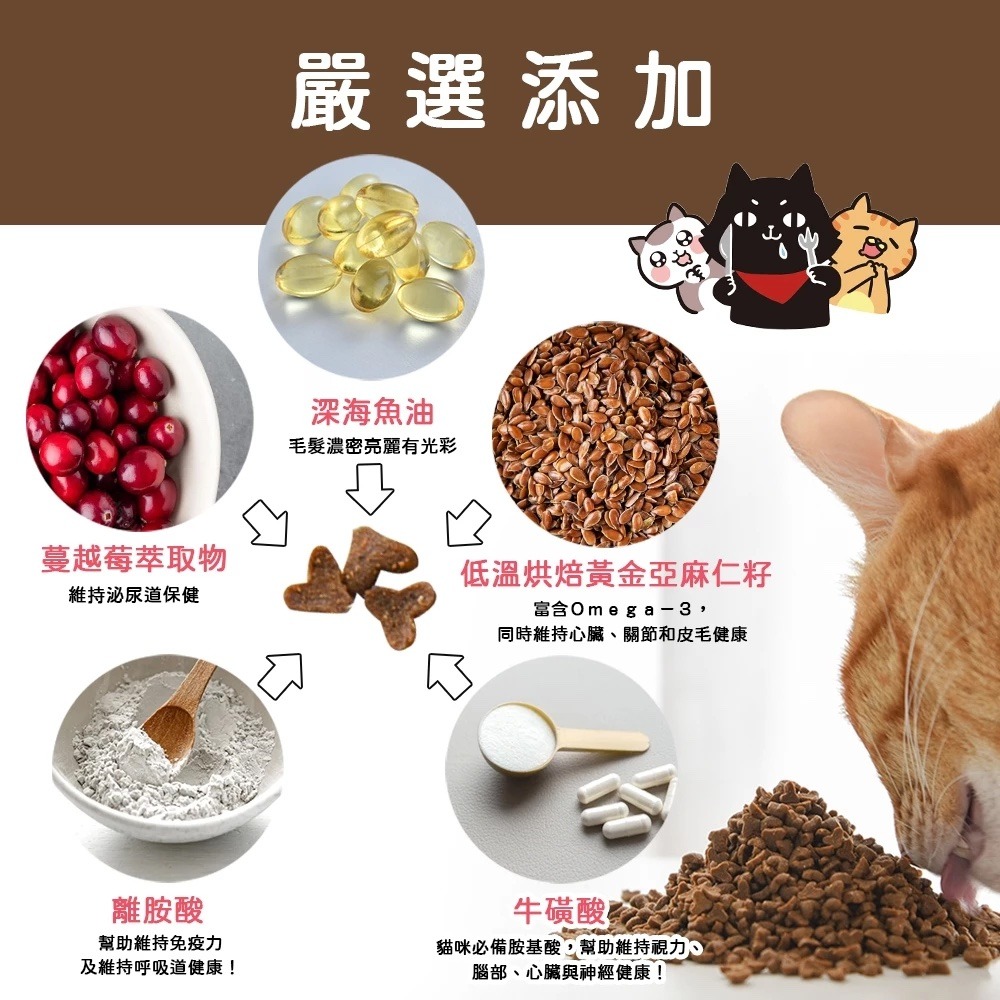 ParkCat貓樂園 無敵貓糧｜鮮雞蜂王乳 無穀 全齡貓 貓糧-細節圖4