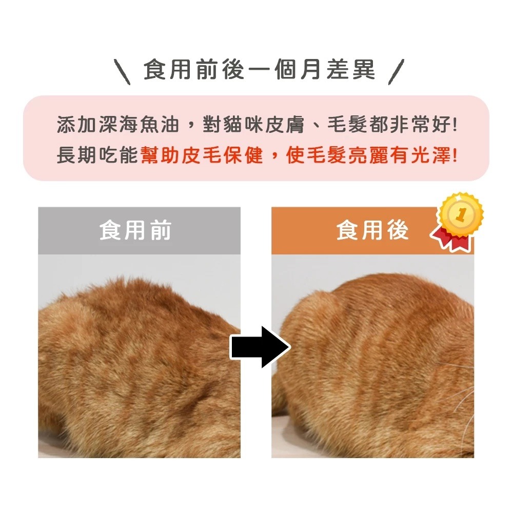 ParkCat貓樂園 無敵貓糧｜鮮雞蜂王乳 無穀 全齡貓 貓糧-細節圖7