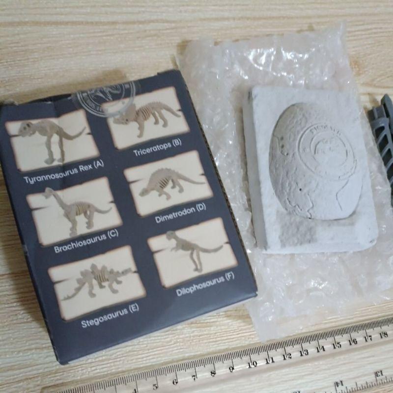 全新 現貨 庫存品 已開封 檢查 出清 恐龍 化石 石膏 恐龍蛋 附工具 刷子 親子 互動 自然 科學 小朋友 最愛 蛋-細節圖3
