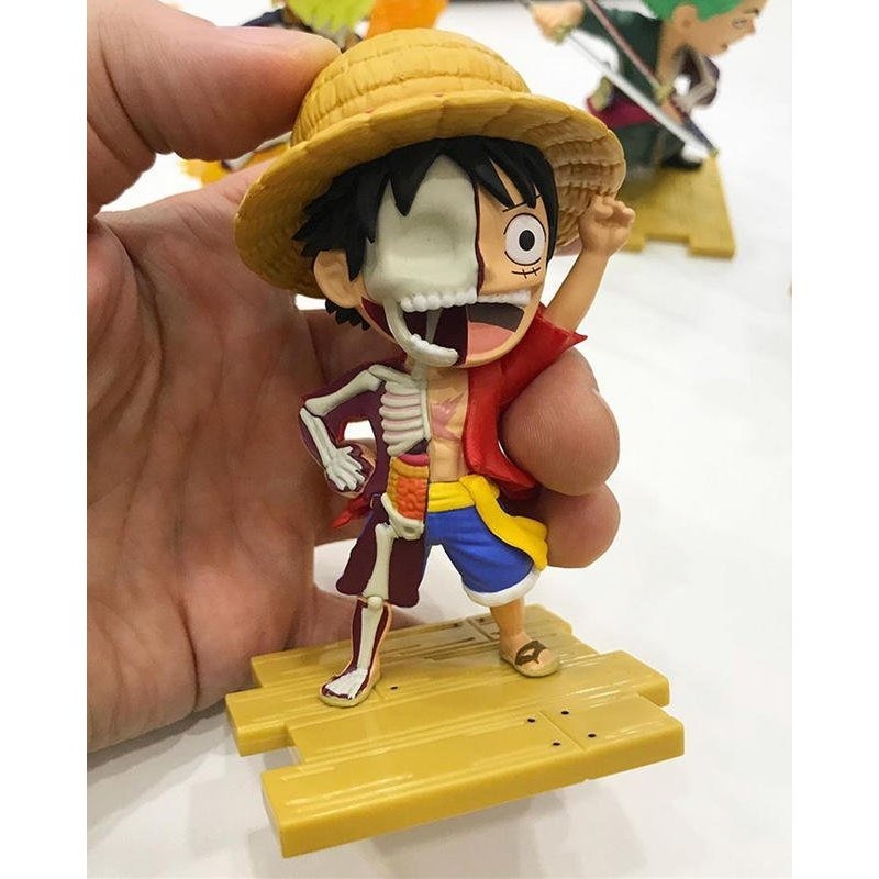 港版 Mighty Jaxx 海賊王 一代 半解剖款 魯夫 索隆-規格圖3