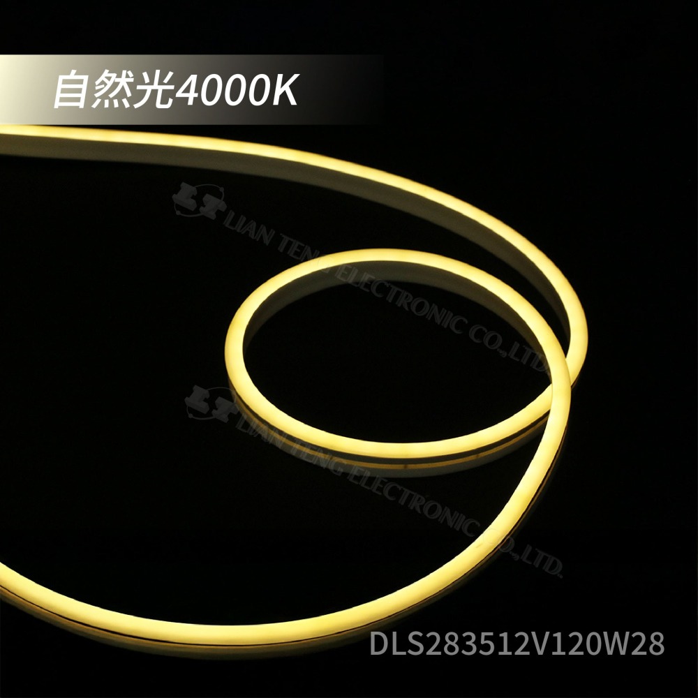 聯騰．LED燈條 霓虹 12V 2835 120燈 多色選擇 含加工DC座 整捲5M 廣告燈箱 露營 聖誕 節日氣氛-細節圖4