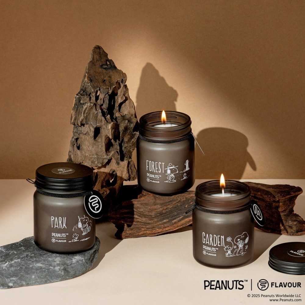 史努比聯名香氛✨FLAVOUR 居家香氛蠟燭【寵物友善】／SNOOPY融蠟燈 芳香膏 香氛膏 芳香蠟燭燈 香薰蠟燭-細節圖5