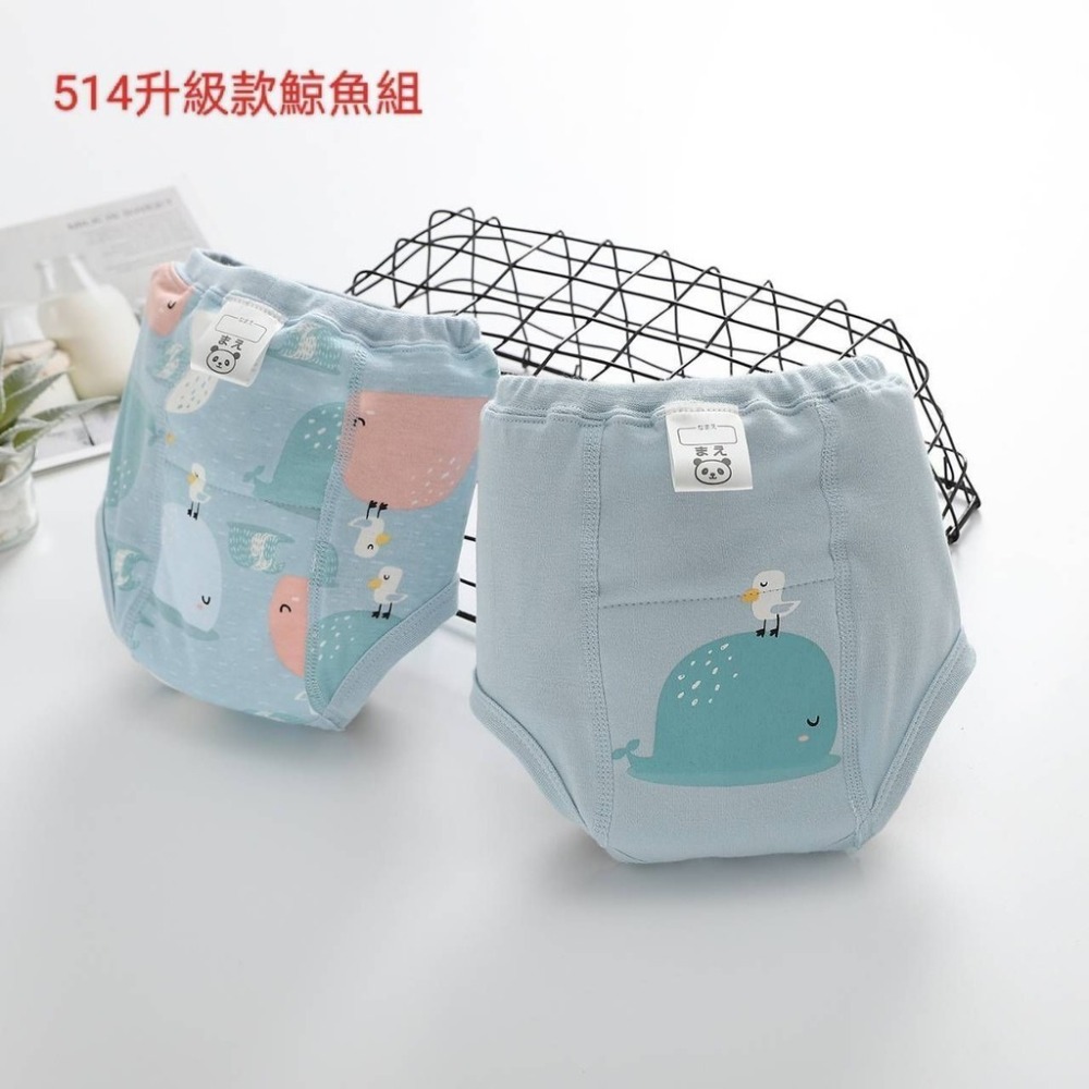 商檢合格  網眼棉學習褲 洞洞棉訓練褲 四層紗學習褲 7層布尿褲-規格圖9