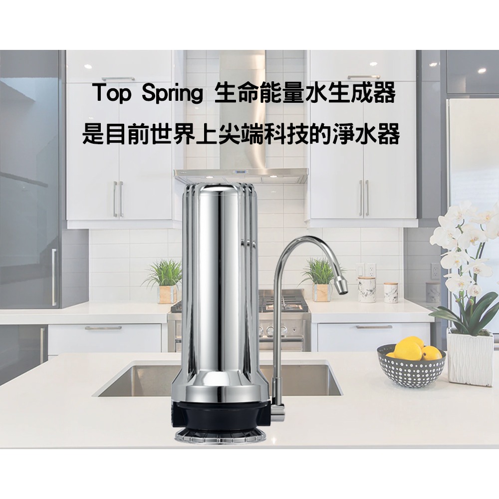 【Top Spring®】高效淨水器 能量水生成器–SX10-細節圖2